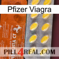 Pfizer Viagra 42